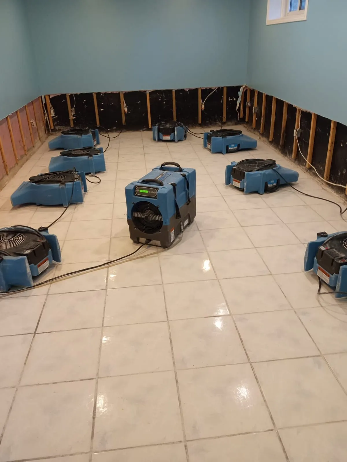 Water damage restoration in Durham Region: air movers and a dehumidifier drying a basement after flood cuts